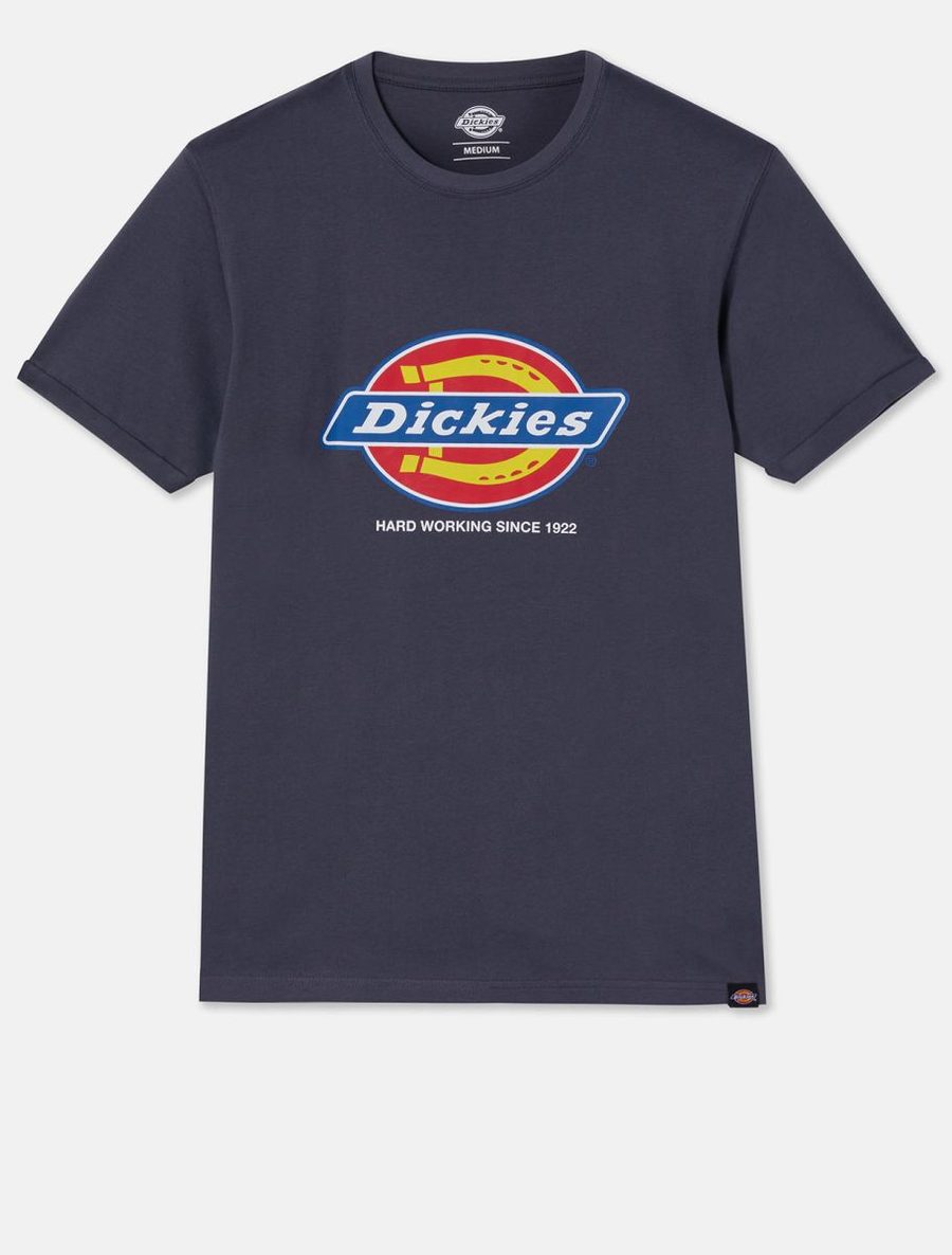 Dickies Denison Herren-T-Shirt (dt6010) Dk0a4xud